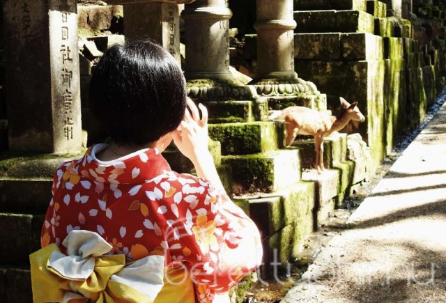 Egy álom valóra vált - Seba Japánban 07